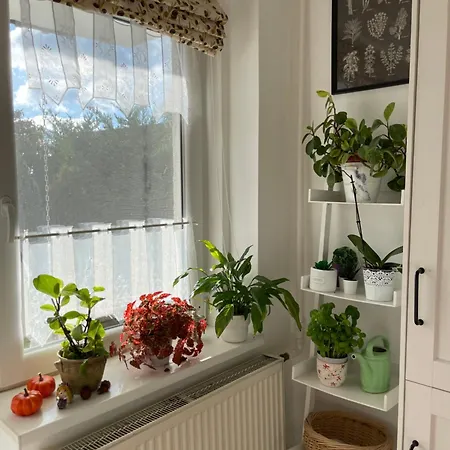 Bartalos Haz شقة *