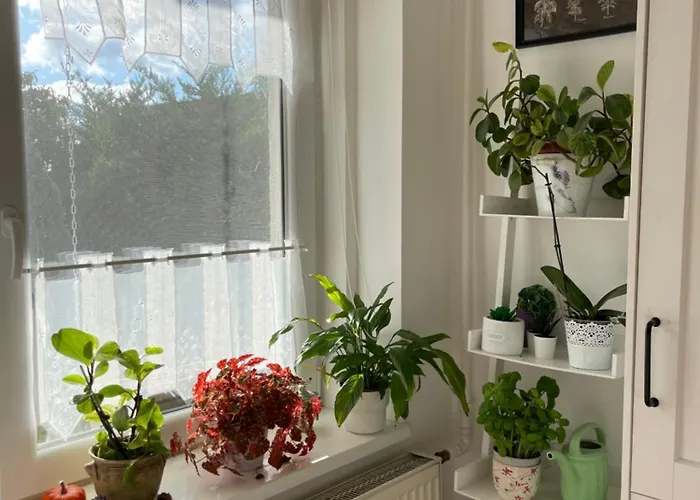 Bartalos Ház Apartman *